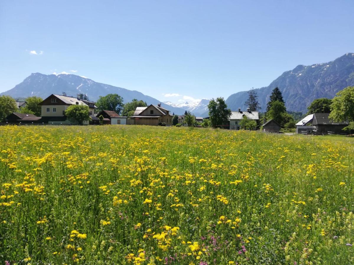 Wanderlust Rooms Bad Goisern am Hallstättersee Exterior foto
